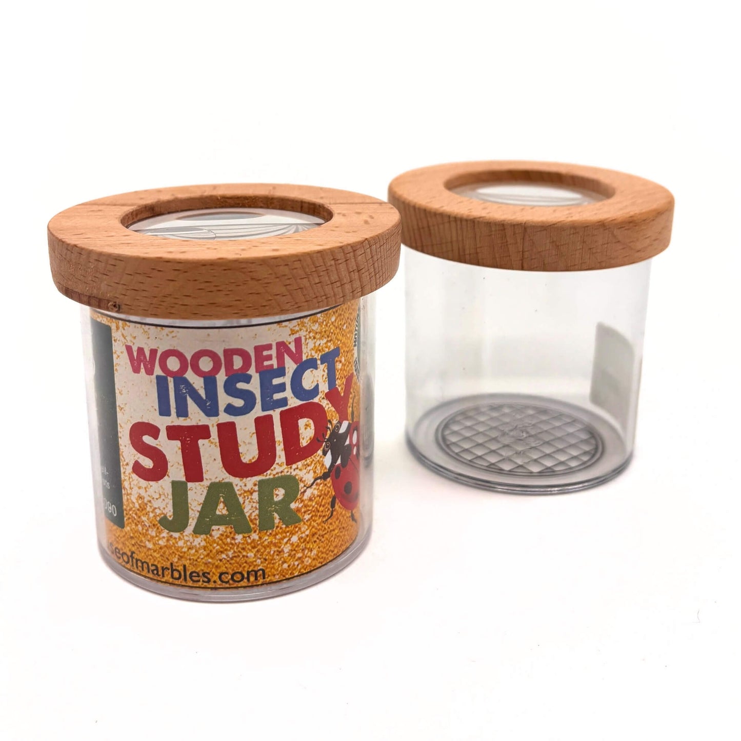 Insect Study Jar