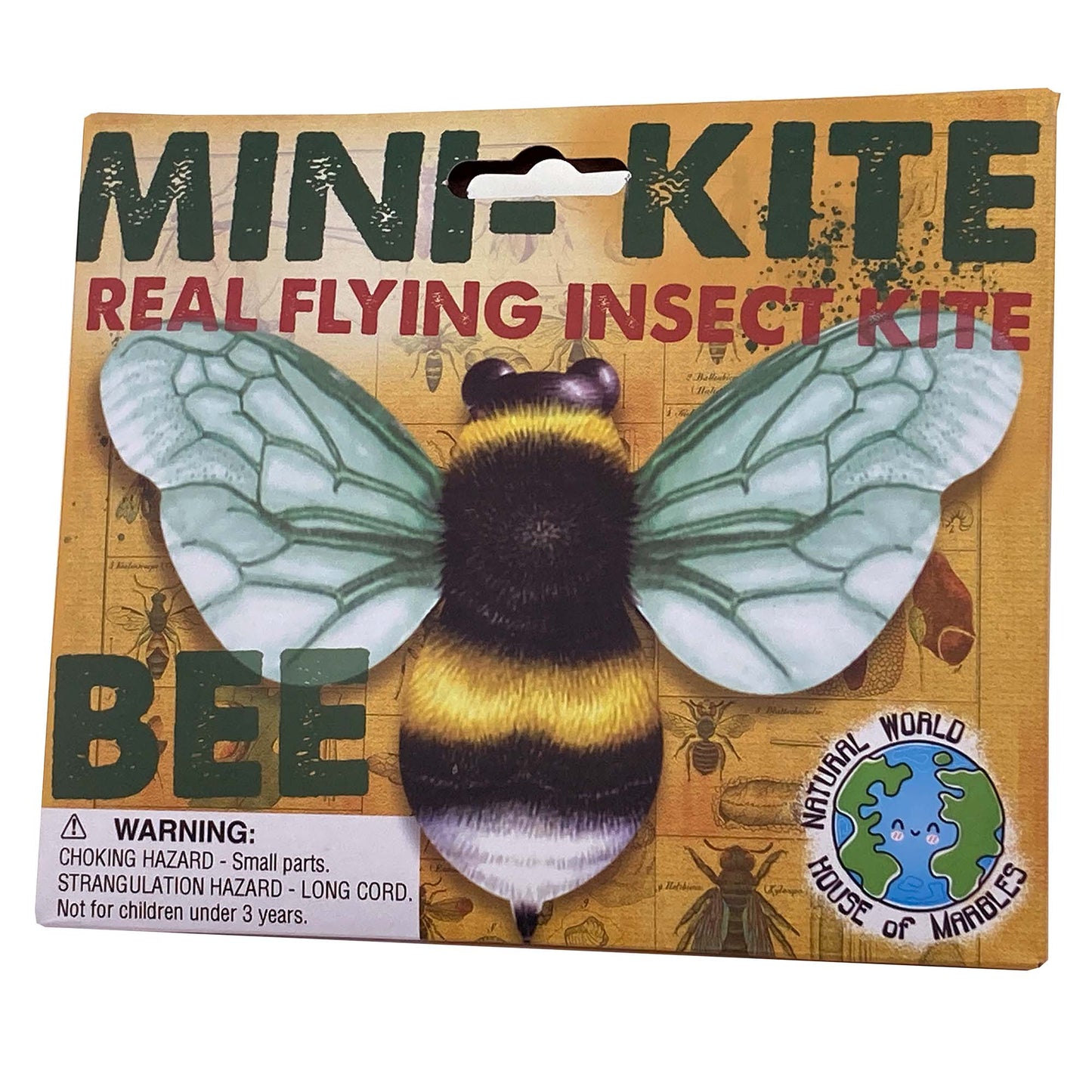 Insect Kites