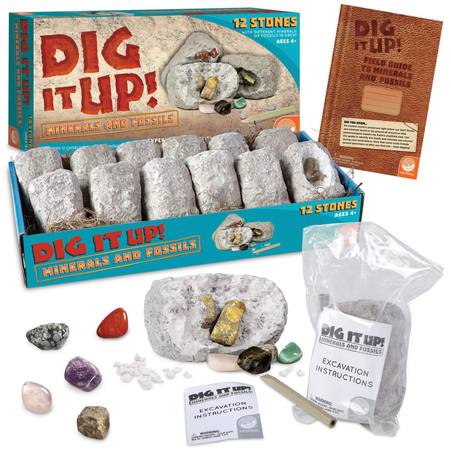Dig it up! Minerals & Fossils
