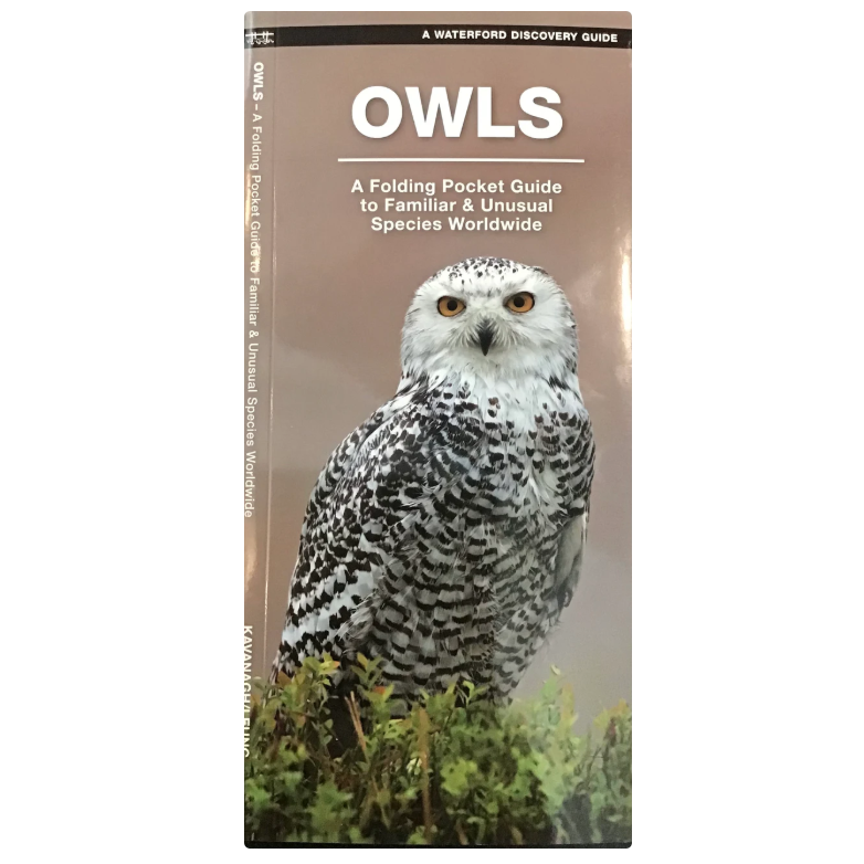 Owls (Pocket Naturalist® Guide)