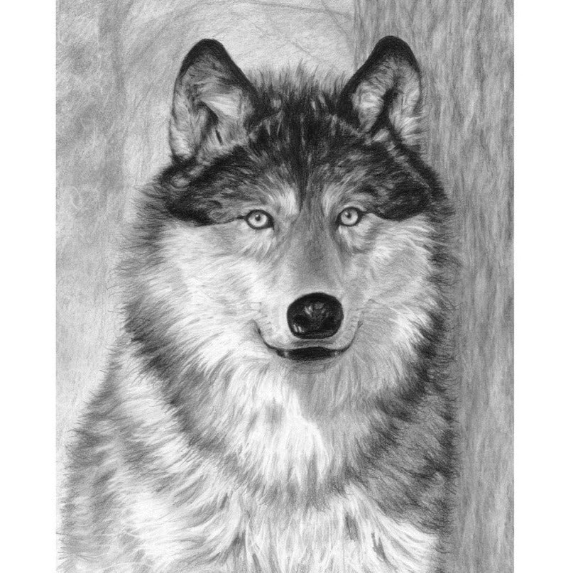 Sketch Kit - Alpha
