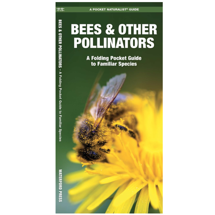 Bees & Other Pollinators (Pocket Naturalist® Guide)