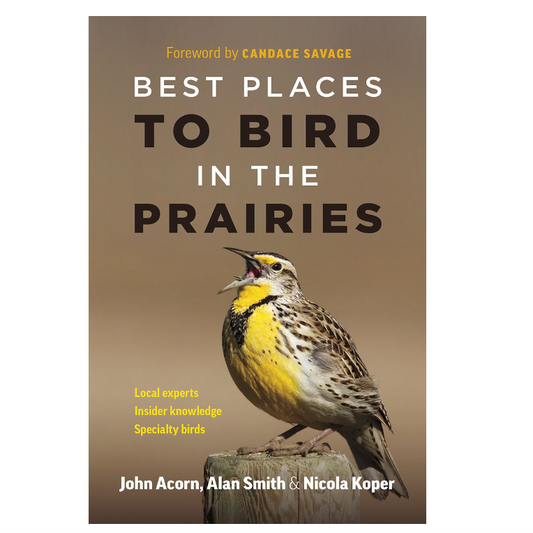 Best Places to Bird in the Prairies