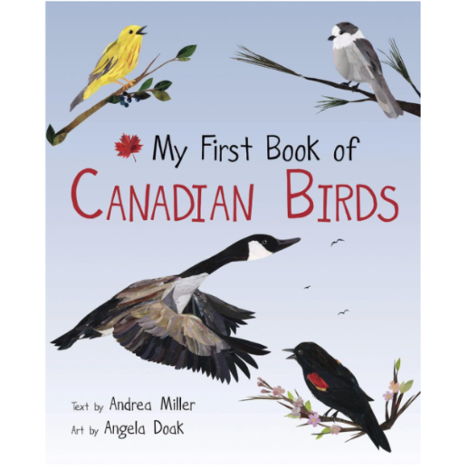 My First Book of Canadian Birds