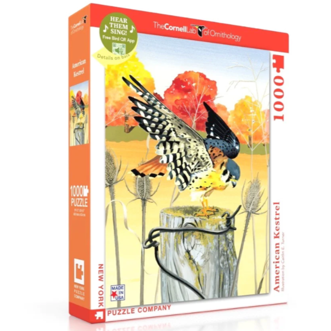 American Kestrel - 1000 Piece Puzzle
