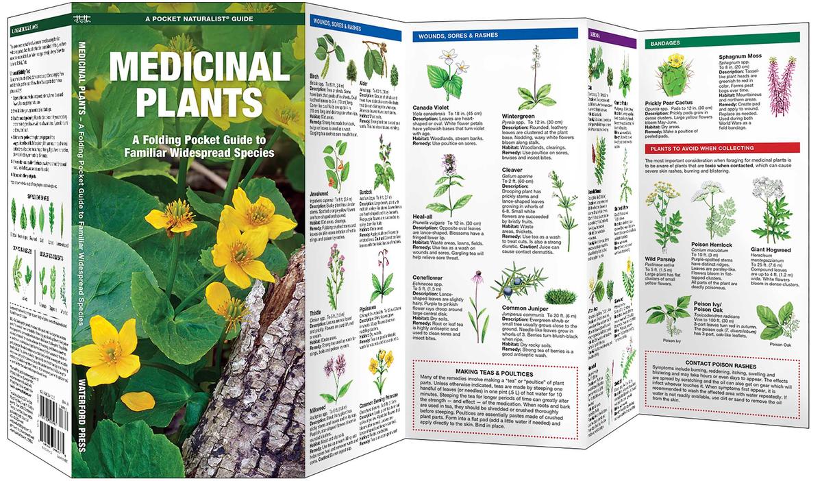 Medicinal Plants (Pocket Naturalist® Guide)