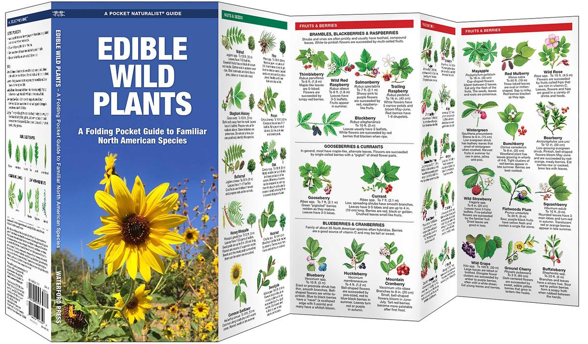 Edible Wild Plants (Pocket Naturalist® Guide)