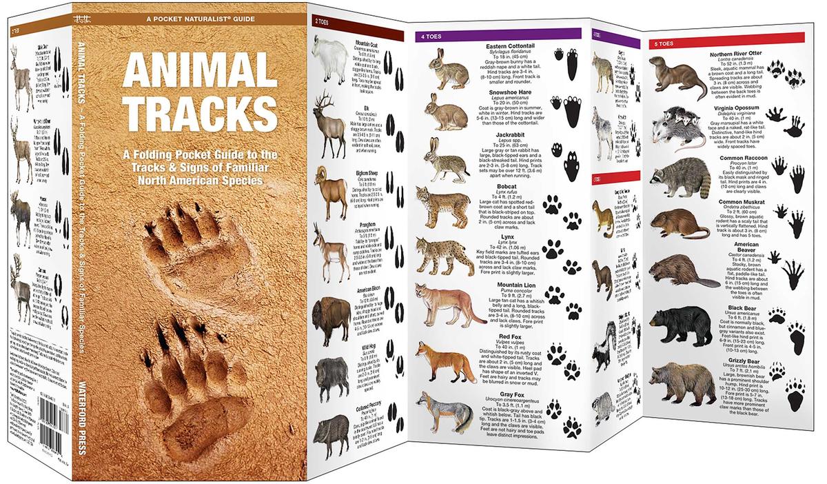 Animal Tracks (Pocket Naturalist® Guide)