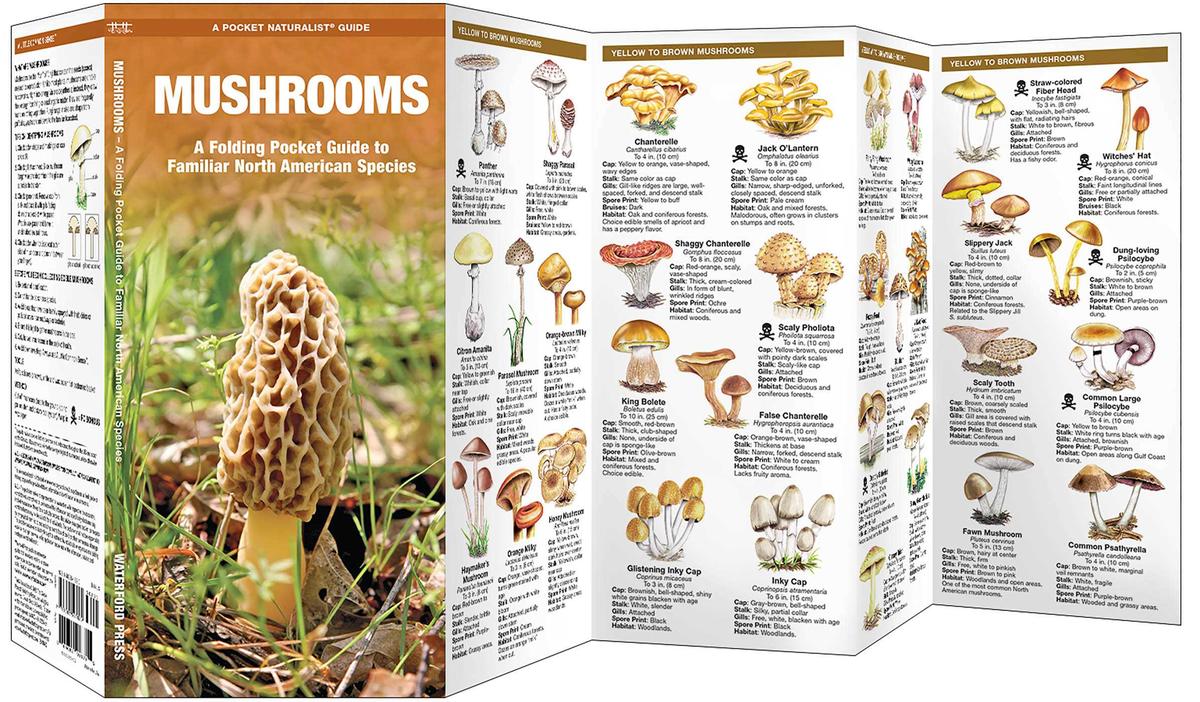 Mushrooms (Pocket Naturalist® Guide)