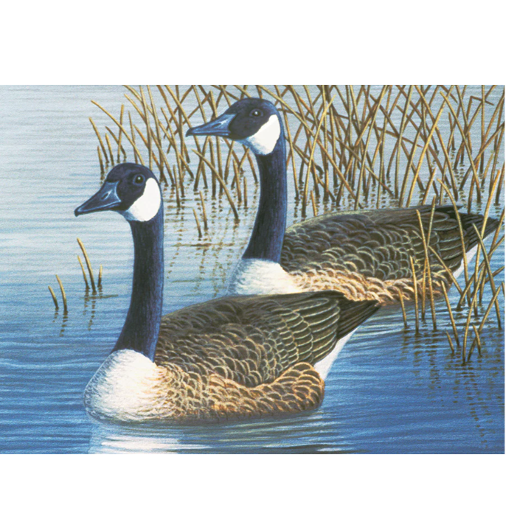 Large Paint By Number Geese