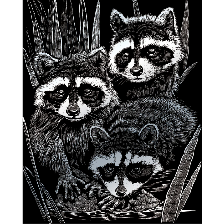 stylized photo of three raccoons with black background