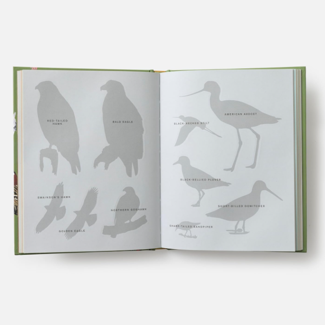 Sibley Birding Sticker Book