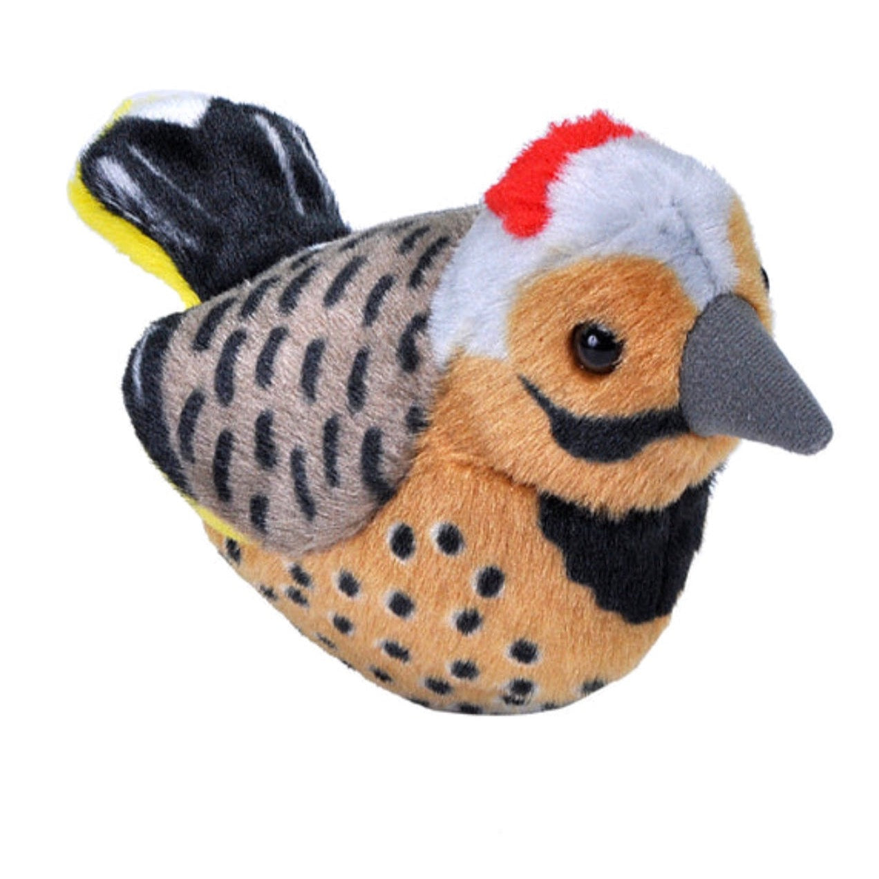 Audubon - Northern Flicker