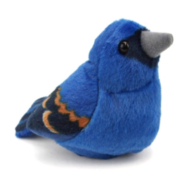 Audubon - Blue Grosbeak