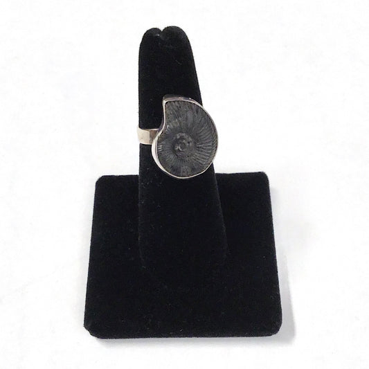 Clockwise Swirl Ammonite Silver Ring