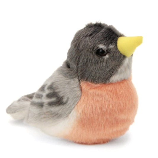 Audubon - American Robin