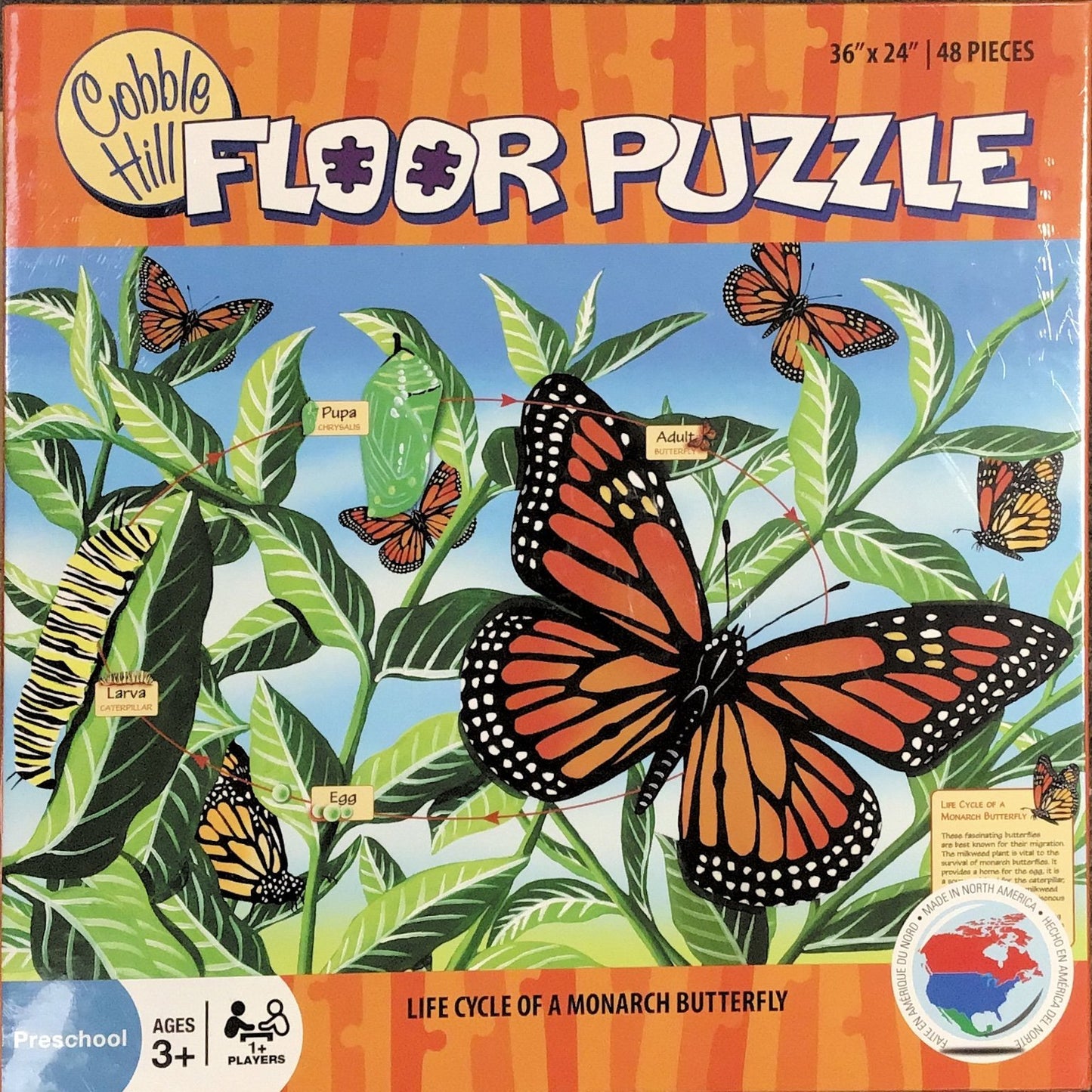 Life Cycle of a Monarch Butterfly Floor Puzzle