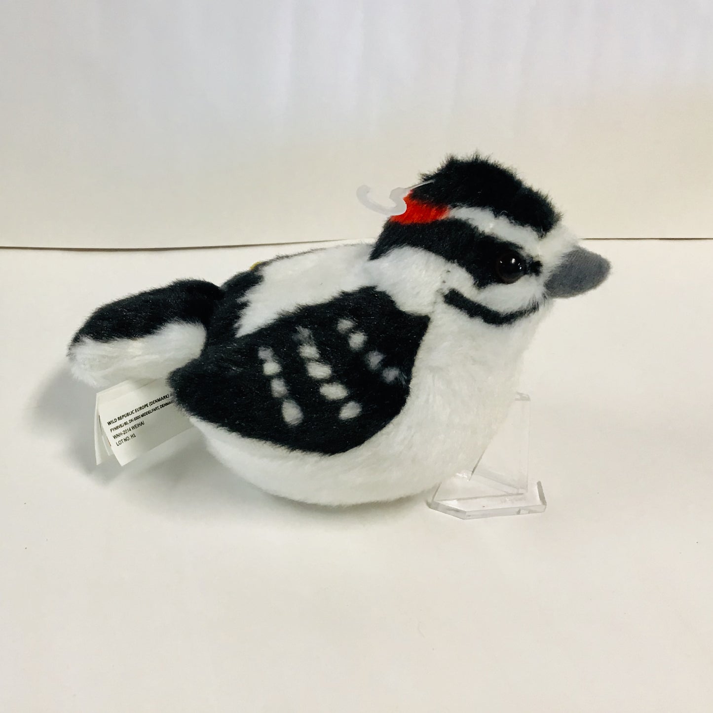Audubon - Downy Woodpecker