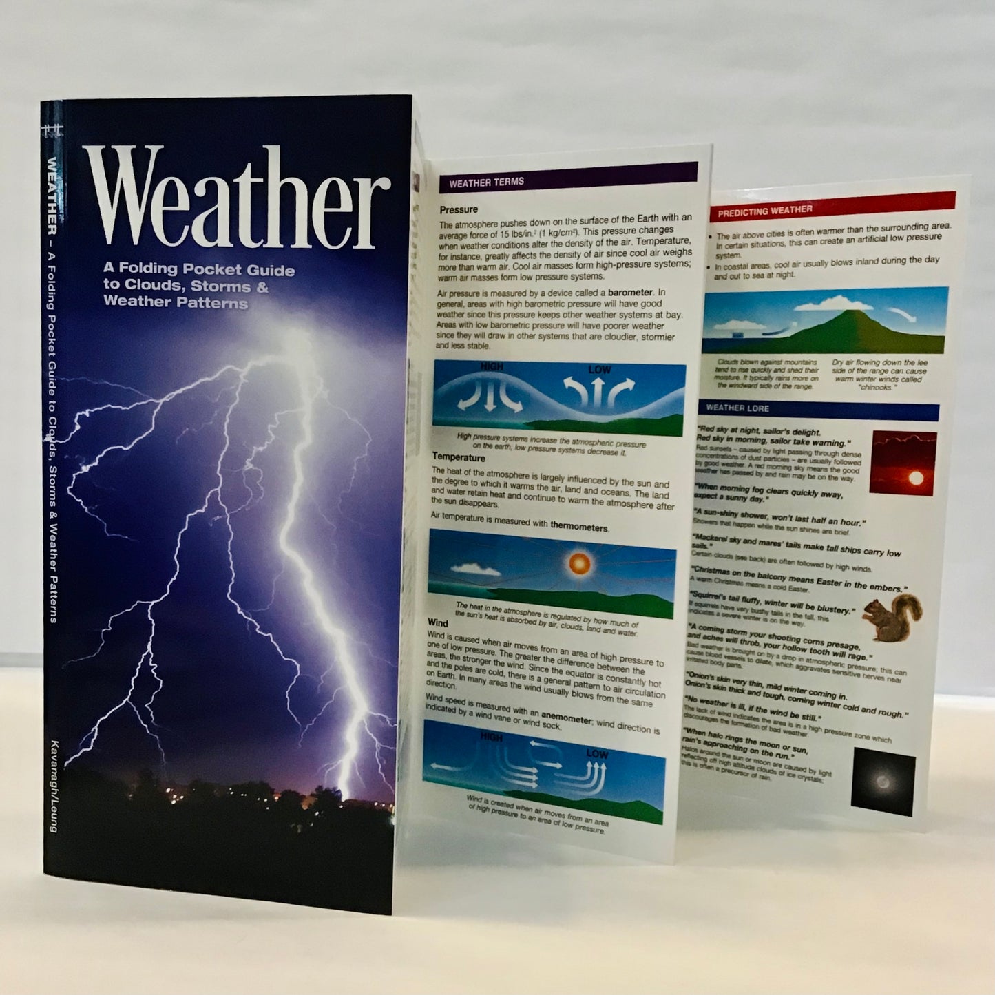 Weather (Pocket Naturalist® Guide)