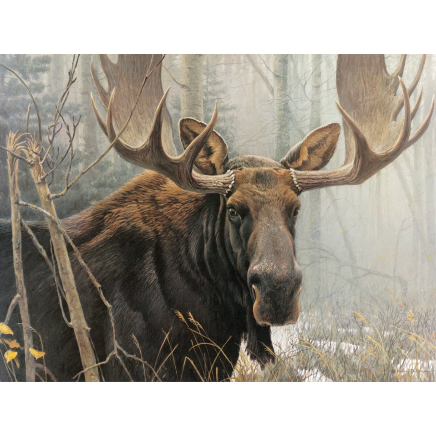 Cobble Hill 500 pc. Puzzle - Robert Bateman's "Bull Moose"