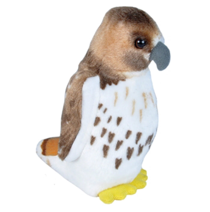 Audubon - Red-tailed Hawk