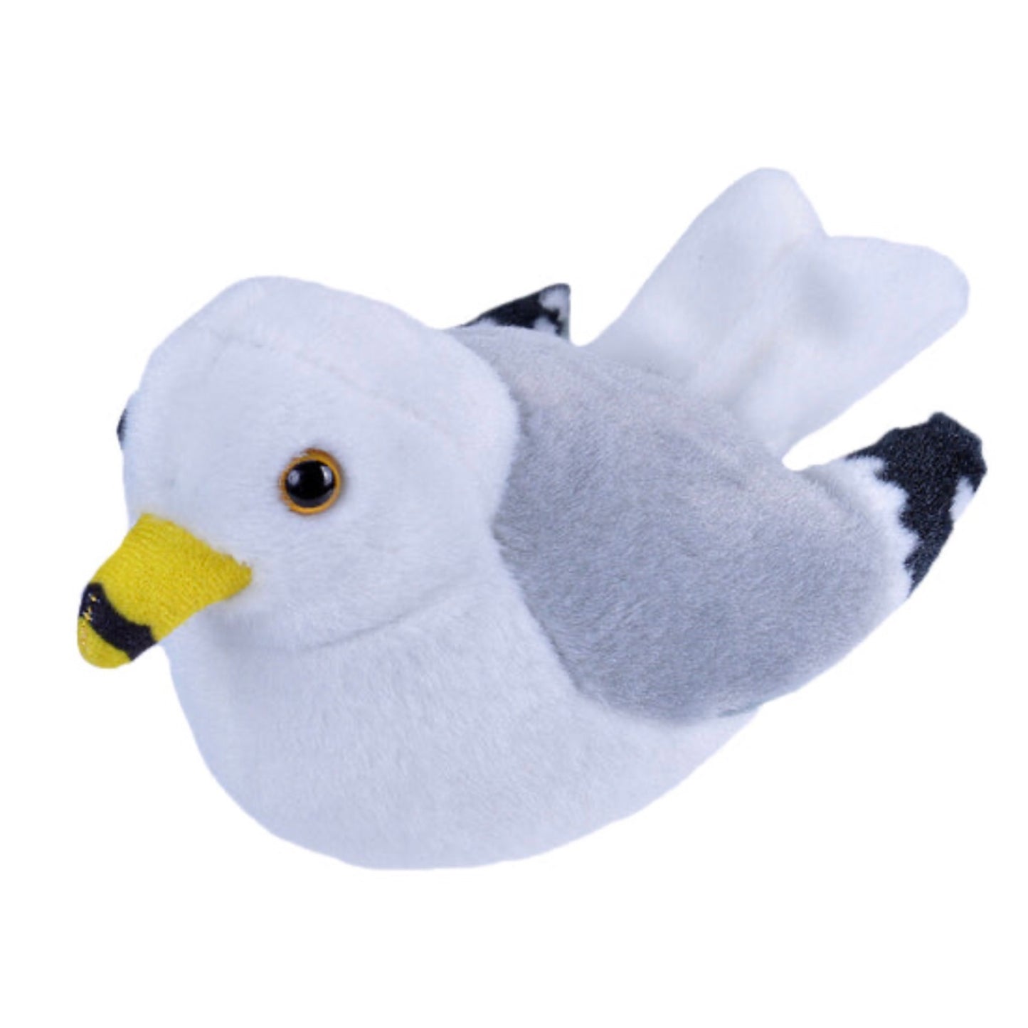 Audubon - Ring-Billed Gull