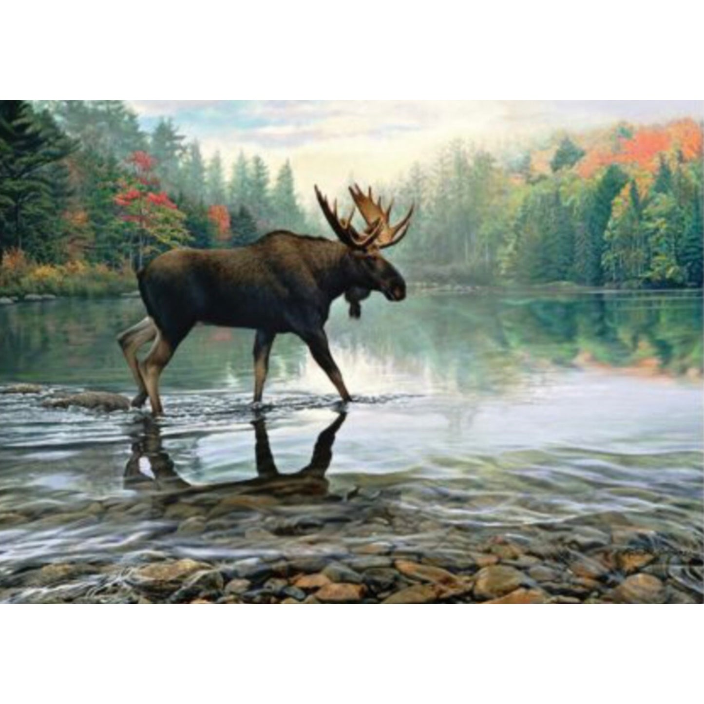 Cobble Hill 1000 pc. Puzzles - Moose Crossing