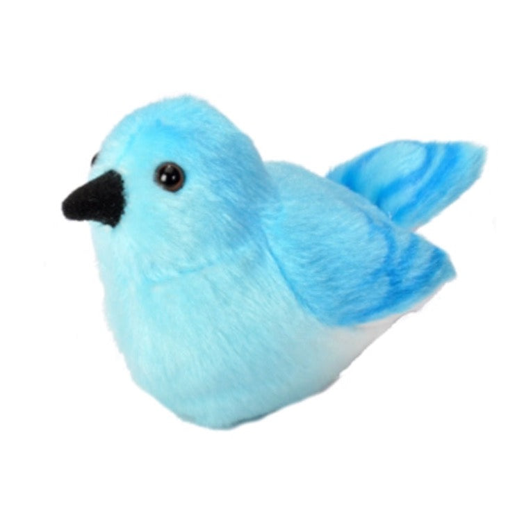 Audubon - Mountain Bluebird