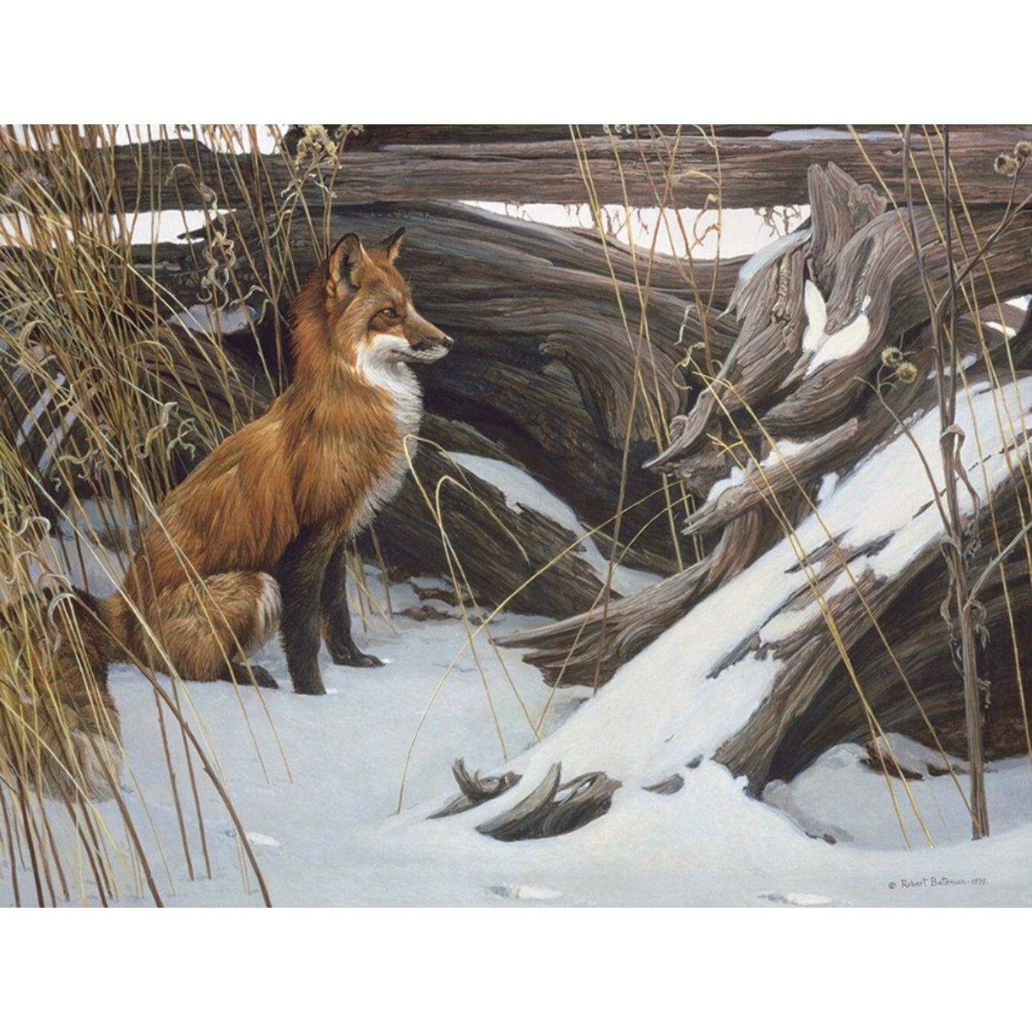 Cobble Hill 500 pc. Puzzle - Wily and Wary