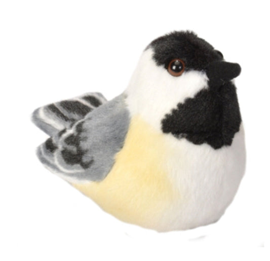 Audubon - Black-capped Chickadee