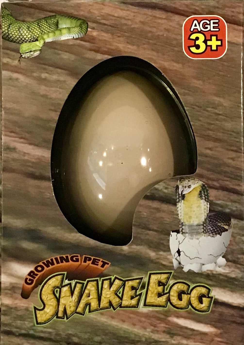 Snake Egg Growing Pet