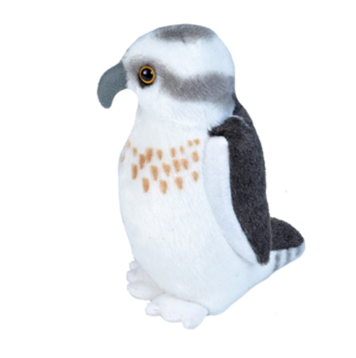 Audubon - Osprey