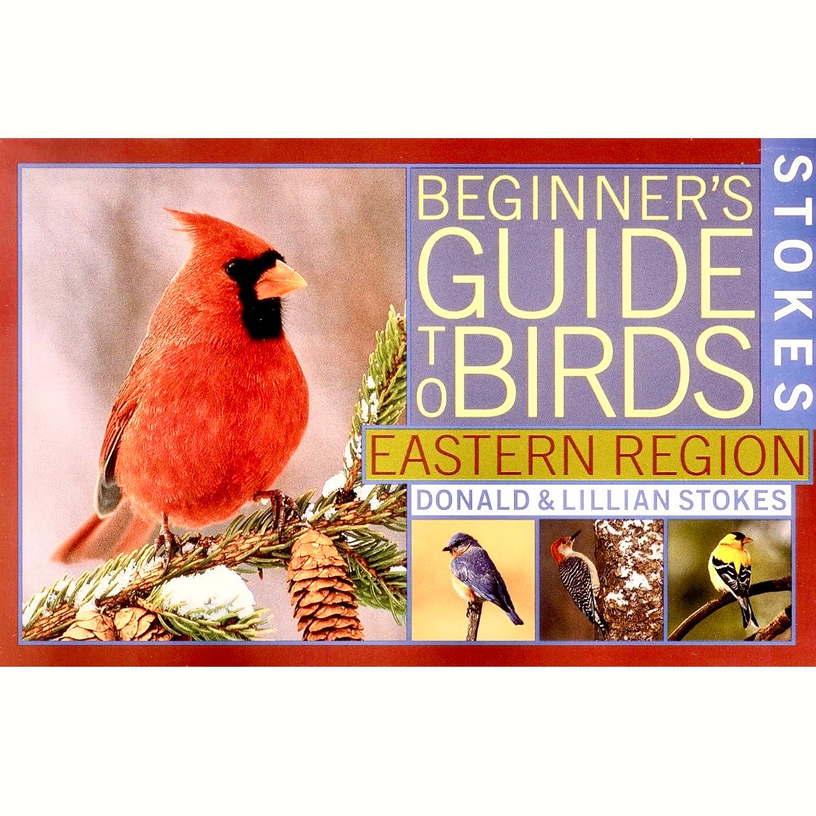 Stokes Beginners Guide to Birds