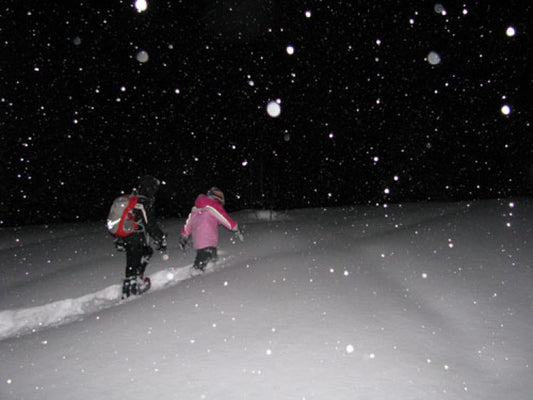 Moonlight Snowshoe Walk