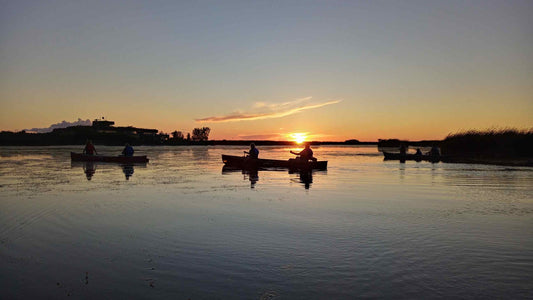 Evening Canoe Excursion (BYOC)