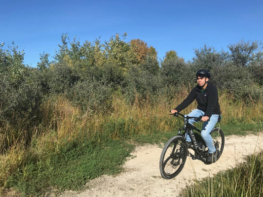 Bicycle Rental