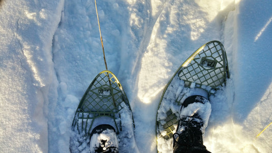 Snowshoe at the Oak Bluff