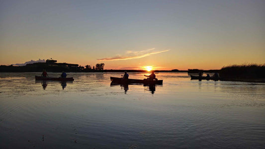 Evening Canoe Excursion (Rental)