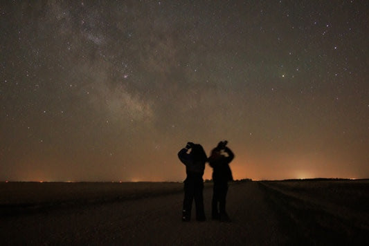 Marsh Walk at Night