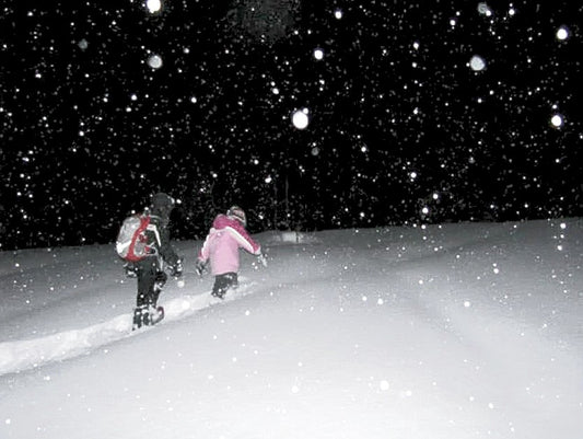 Evening Snowshoe Walk