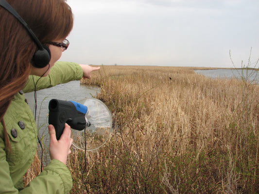 Birding by Ear Guided Walk
