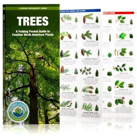 Trees of North America (Pocket Naturalist® Guide)