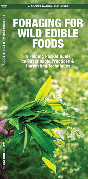 Foraging for Wild Edible Foods(Pocket Naturalist® Guide)