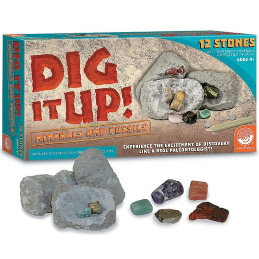 Dig it up! Minerals & Fossils