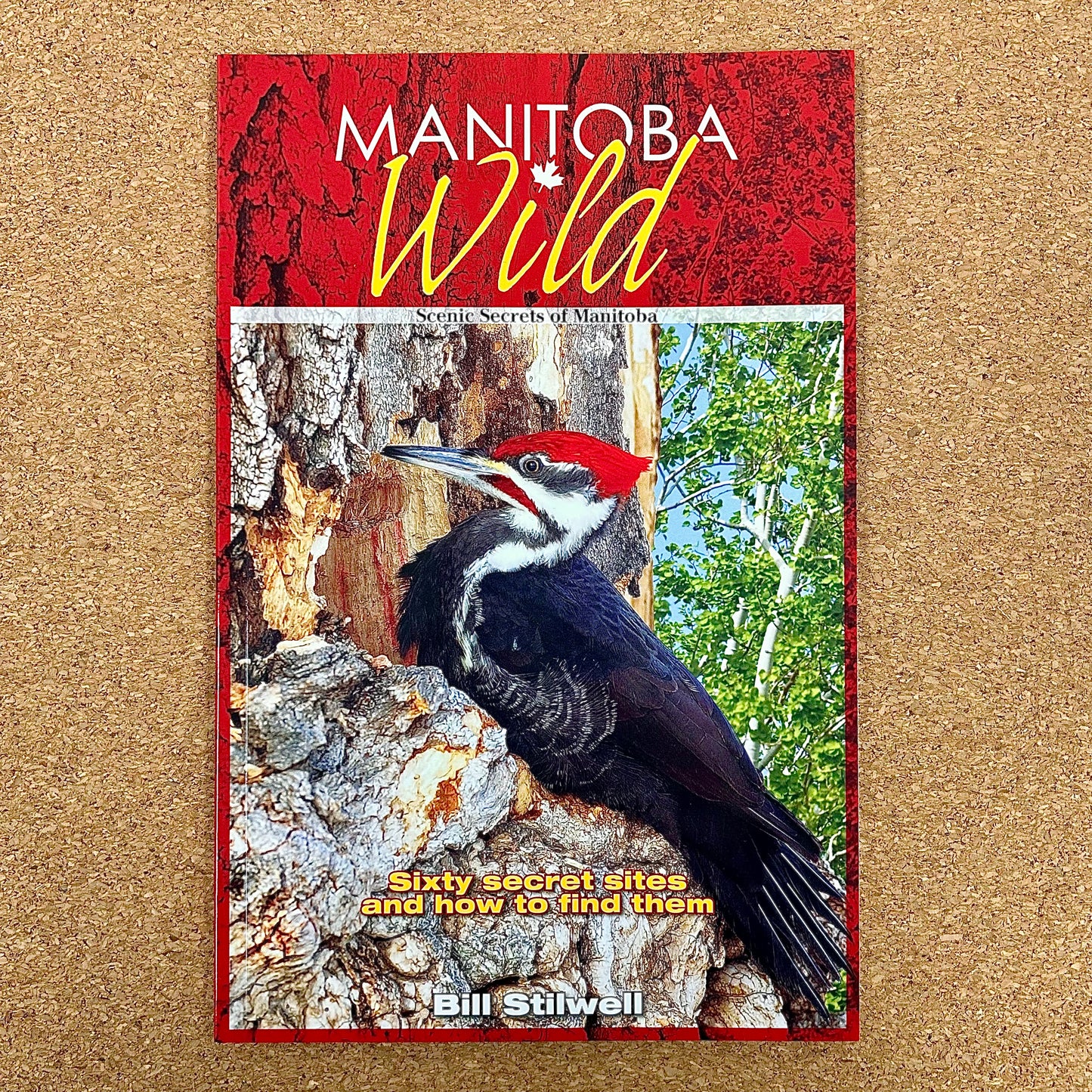 Manitoba Wild