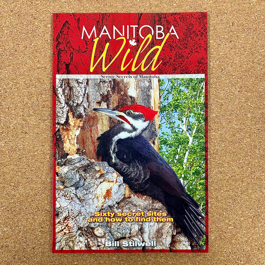 Manitoba Wild