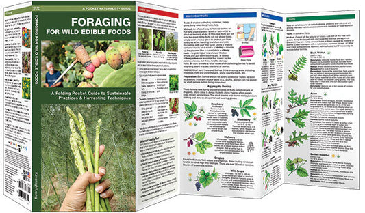 Foraging for Wild Edible Foods(Pocket Naturalist® Guide)
