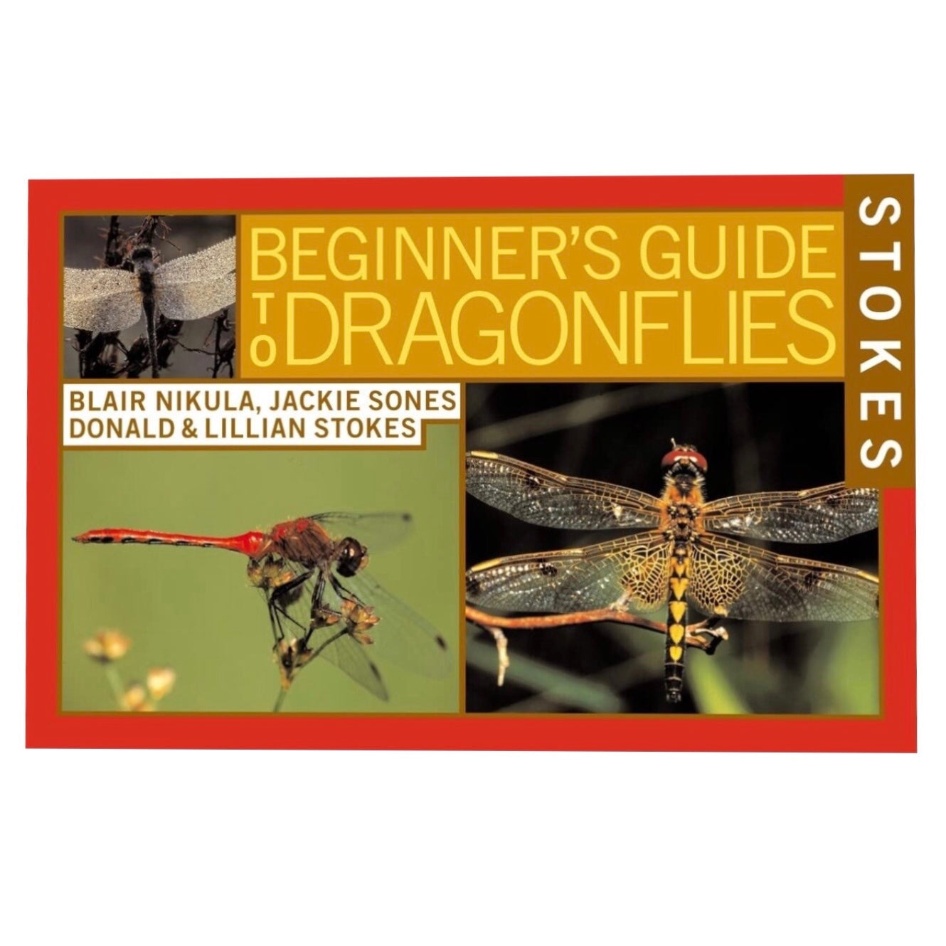 Stokes Beginners Guide to Dragonflies