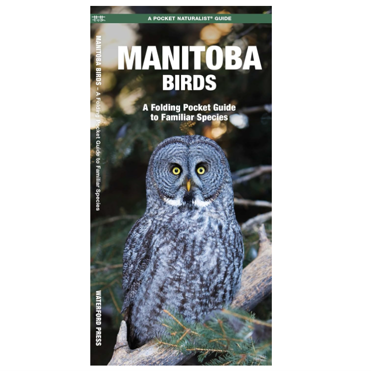 Manitoba Birds (Pocket Naturalist® Guide)