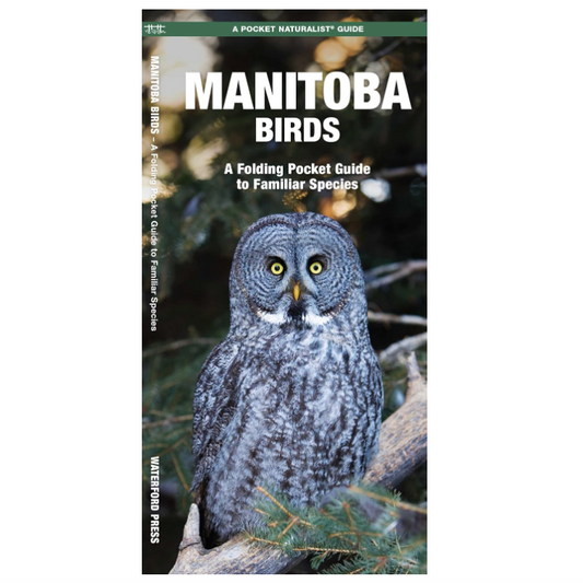 Manitoba Birds (Pocket Naturalist® Guide)